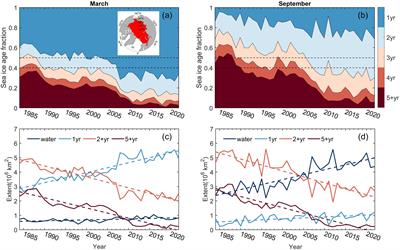 Variability of Arctic Sea ice age and its relationship with atmospheric circulation patterns